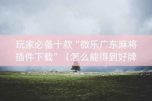 玩家必备十款“微乐广东麻将插件下载”（怎么能得到好牌)