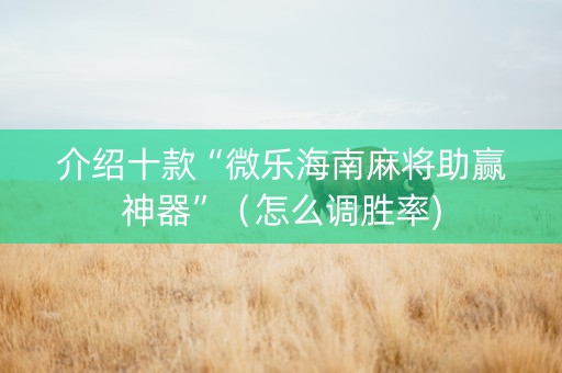 介绍十款“微乐海南麻将助赢神器”（怎么调胜率)