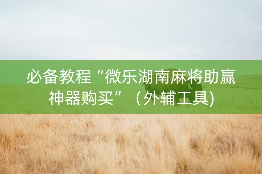 必备教程“微乐湖南麻将助赢神器购买”（外辅工具)