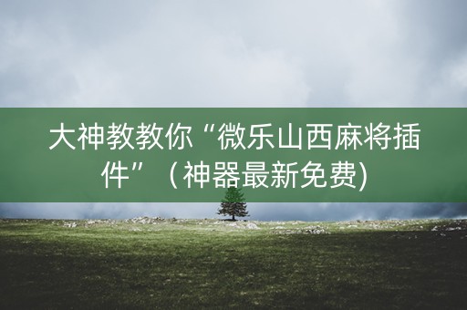 大神教教你“微乐山西麻将插件”（神器最新免费)