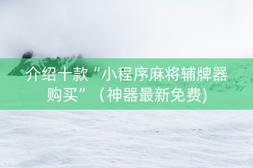 介绍十款“小程序麻将辅牌器购买”（神器最新免费)