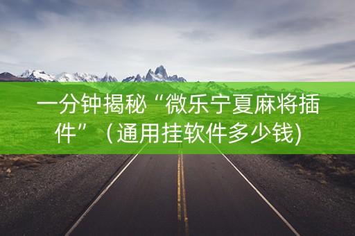 一分钟揭秘“微乐宁夏麻将插件”（通用挂软件多少钱)