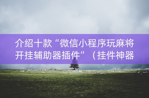 介绍十款“微信小程序玩麻将开挂辅助器插件”（挂件神器)