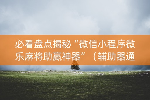 必看盘点揭秘“微信小程序微乐麻将助赢神器”（辅助器通用版)