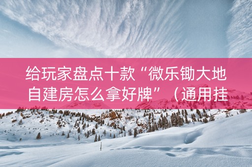 给玩家盘点十款“微乐锄大地自建房怎么拿好牌”（通用挂软件多少钱)
