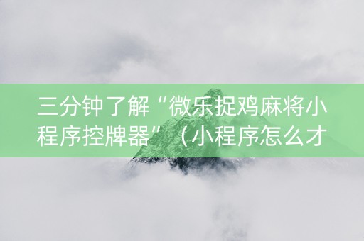 三分钟了解“微乐捉鸡麻将小程序控牌器”（小程序怎么才会赢)