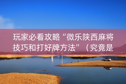 玩家必看攻略“微乐陕西麻将技巧和打好牌方法”（究竟是不是有挂)
