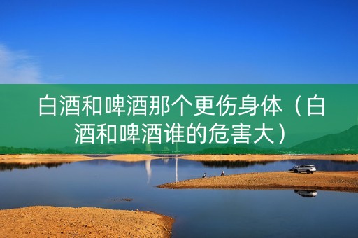 白酒和啤酒那个更伤身体（白酒和啤酒谁的危害大）