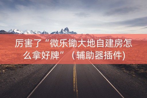 厉害了“微乐锄大地自建房怎么拿好牌”（辅助器插件)