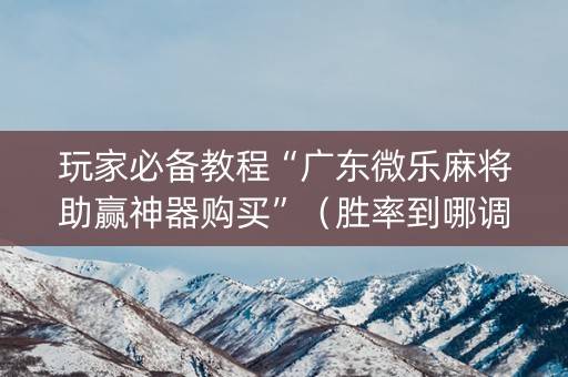 玩家必备教程“广东微乐麻将助赢神器购买”（胜率到哪调)