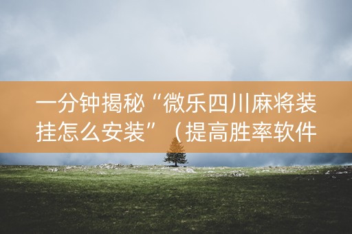 一分钟揭秘“微乐四川麻将装挂怎么安装”（提高胜率软件)