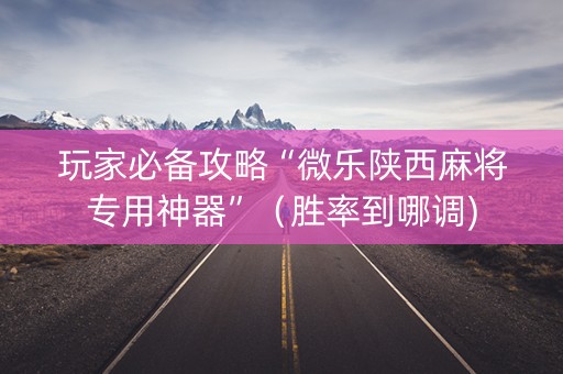 玩家必备攻略“微乐陕西麻将专用神器”（胜率到哪调)