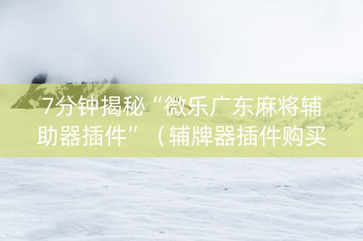 7分钟揭秘“微乐广东麻将辅助器插件”（辅牌器插件购买)