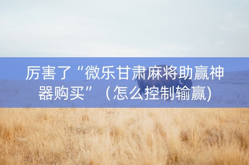 厉害了“微乐甘肃麻将助赢神器购买”（怎么控制输赢)