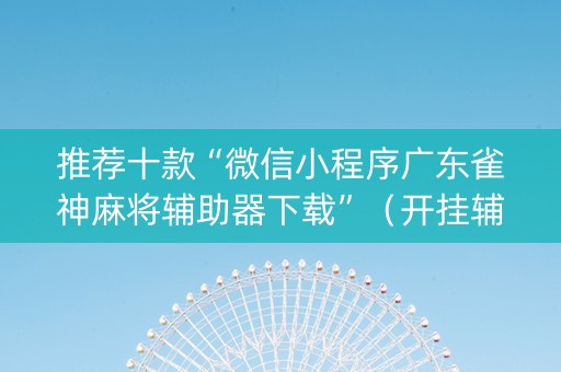 推荐十款“微信小程序广东雀神麻将辅助器下载”（开挂辅助器插件)