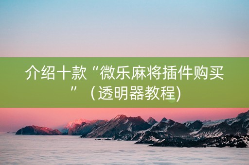 介绍十款“微乐麻将插件购买”（透明器教程)