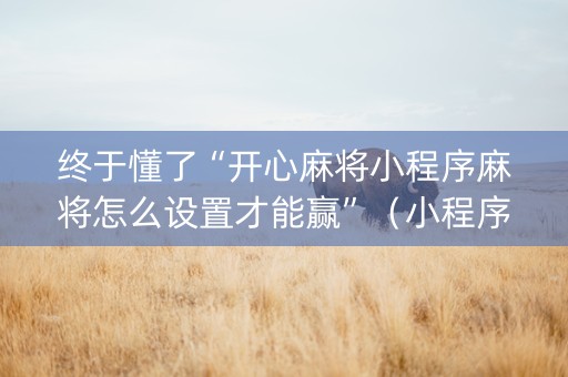 终于懂了“开心麻将小程序麻将怎么设置才能赢”（小程序必赢神器)