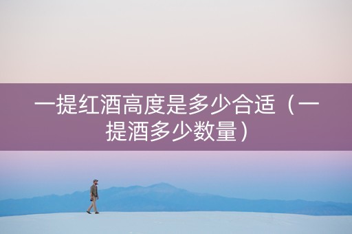 一提红酒高度是多少合适（一提酒多少数量）