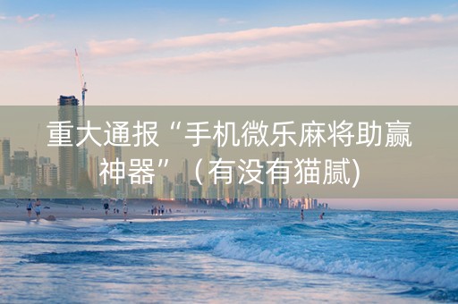 重大通报“手机微乐麻将助赢神器”（有没有猫腻)