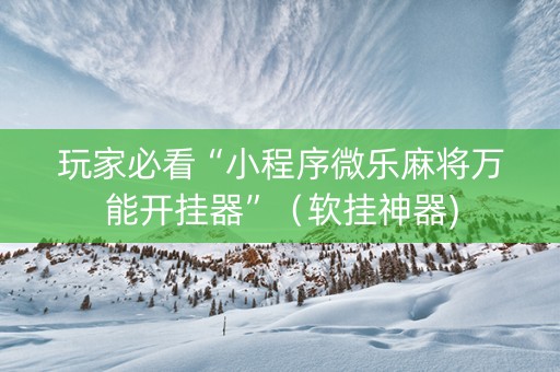 玩家必看“小程序微乐麻将万能开挂器”（软挂神器)