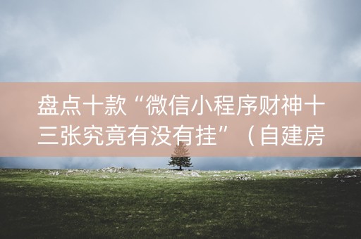 盘点十款“微信小程序财神十三张究竟有没有挂”（自建房怎么拿好牌)