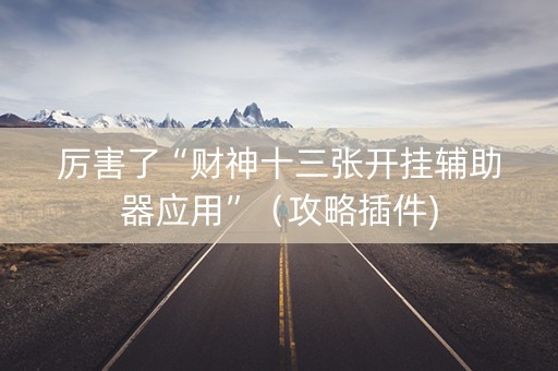 厉害了“财神十三张开挂辅助器应用”（攻略插件)