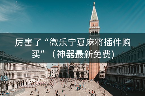厉害了“微乐宁夏麻将插件购买”（神器最新免费)