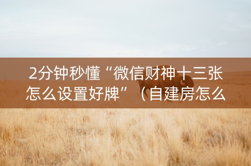 2分钟秒懂“微信财神十三张怎么设置好牌”（自建房怎么赢)