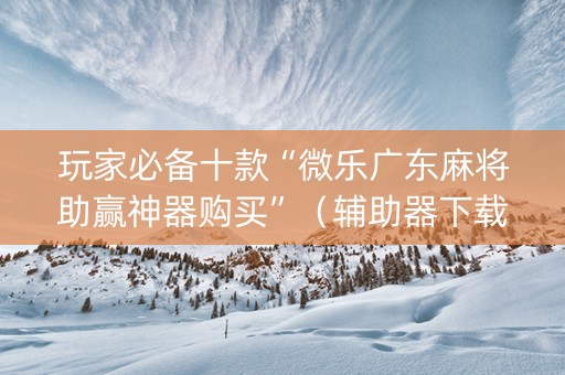 玩家必备十款“微乐广东麻将助赢神器购买”（辅助器下载)