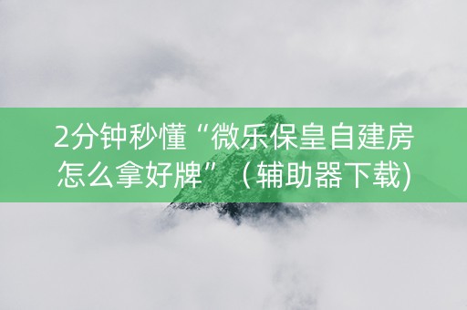 2分钟秒懂“微乐保皇自建房怎么拿好牌”（辅助器下载)