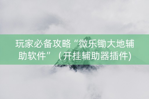 玩家必备攻略“微乐锄大地辅助软件”（开挂辅助器插件)