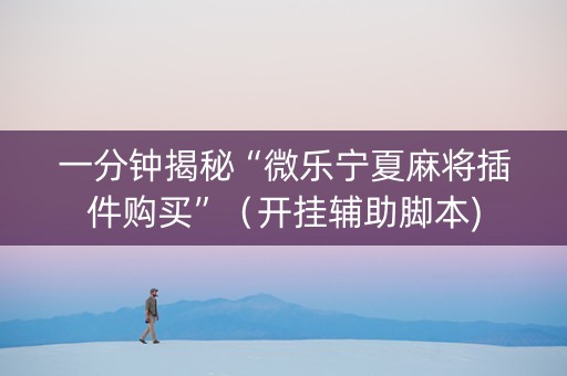 一分钟揭秘“微乐宁夏麻将插件购买”（开挂辅助脚本)