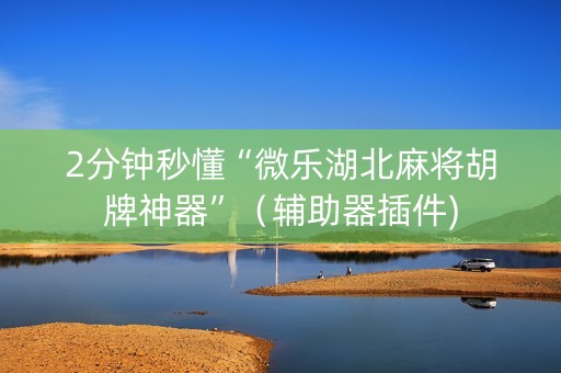 2分钟秒懂“微乐湖北麻将胡牌神器”（辅助器插件)