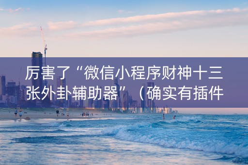 厉害了“微信小程序财神十三张外卦辅助器”（确实有插件吗)
