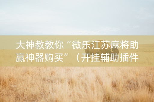 大神教教你“微乐江苏麻将助赢神器购买”（开挂辅助插件)