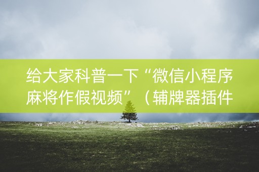 给大家科普一下“微信小程序麻将作假视频”（辅牌器插件购买)