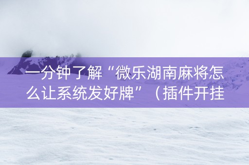 一分钟了解“微乐湖南麻将怎么让系统发好牌”（插件开挂免费AI)