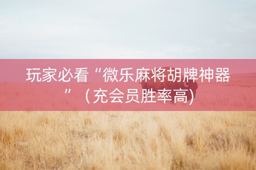 玩家必看“微乐麻将胡牌神器”（充会员胜率高)