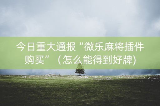 今日重大通报“微乐麻将插件购买”（怎么能得到好牌)
