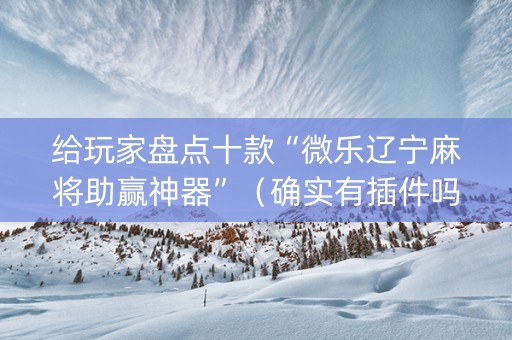 给玩家盘点十款“微乐辽宁麻将助赢神器”（确实有插件吗)
