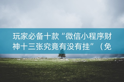 玩家必备十款“微信小程序财神十三张究竟有没有挂”（免费专用神器)