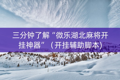 三分钟了解“微乐湖北麻将开挂神器”（开挂辅助脚本)