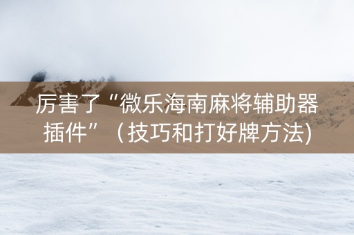 厉害了“微乐海南麻将辅助器插件”（技巧和打好牌方法)