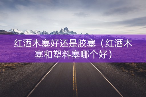 红酒木塞好还是胶塞（红酒木塞和塑料塞哪个好）