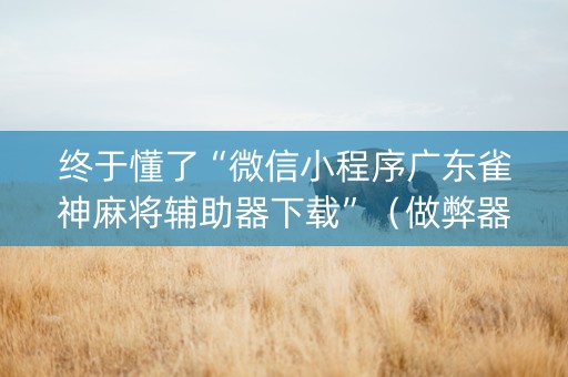 终于懂了“微信小程序广东雀神麻将辅助器下载”（做弊器软件下载)