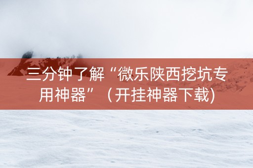 三分钟了解“微乐陕西挖坑专用神器”（开挂神器下载)