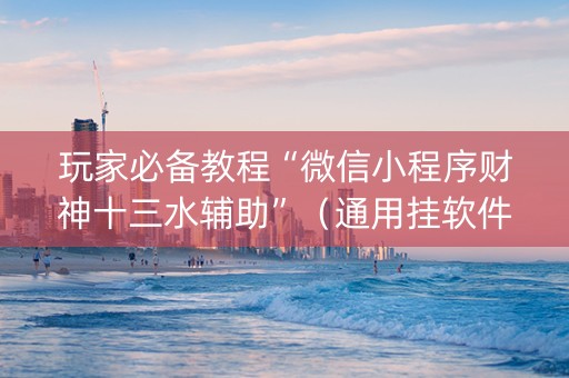 玩家必备教程“微信小程序财神十三水辅助”（通用挂软件多少钱)
