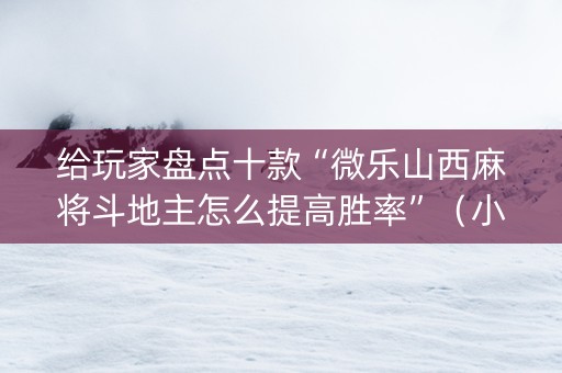 给玩家盘点十款“微乐山西麻将斗地主怎么提高胜率”（小程序必赢神器)