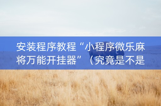 安装程序教程“小程序微乐麻将万能开挂器”（究竟是不是有挂)
