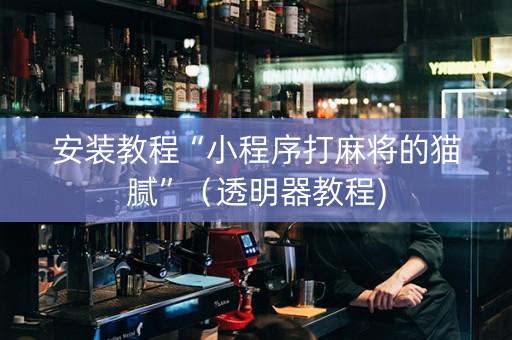 安装教程“小程序打麻将的猫腻”（透明器教程)